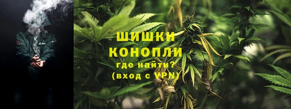гидра Волосово