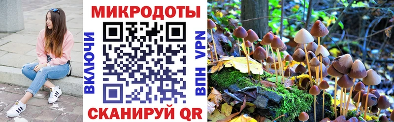 наркотики  МЕГА ССЫЛКА  Галлюциногенные грибы ЛСД  Чухлома 
